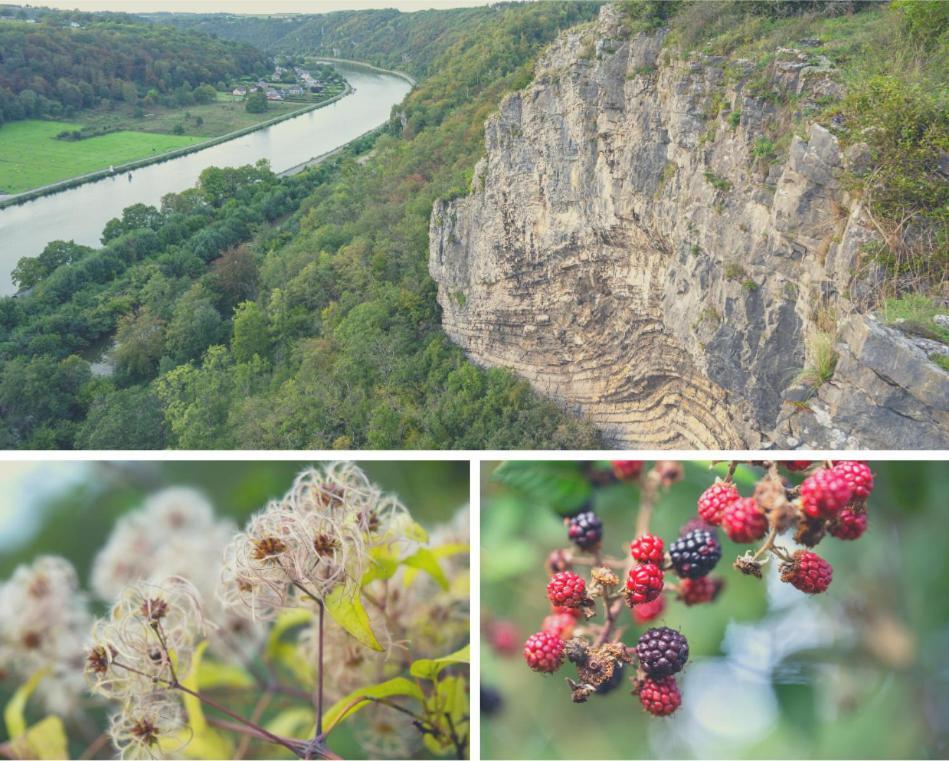 Laissez-vous Enchanter Par La Vallee De La Meuse Hastiere-par-dela